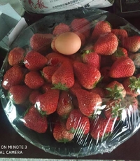 新鮮奶油草莓